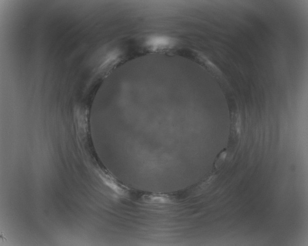 X0000081410475200701191534