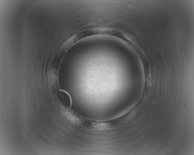 X0000081410476200701191535