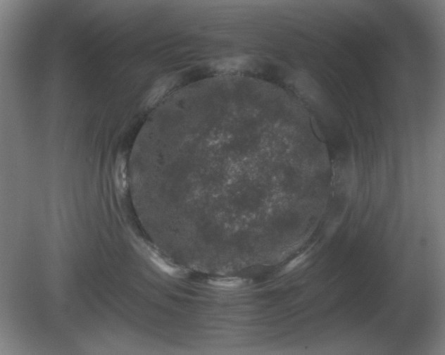 X0000081410479200701191535