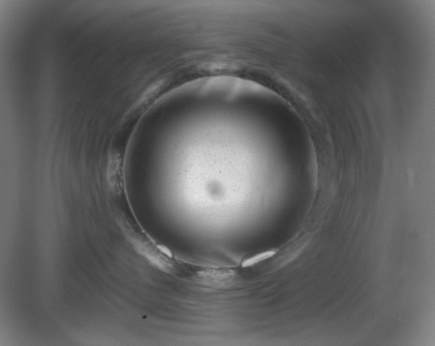 X0000081410480200701191535