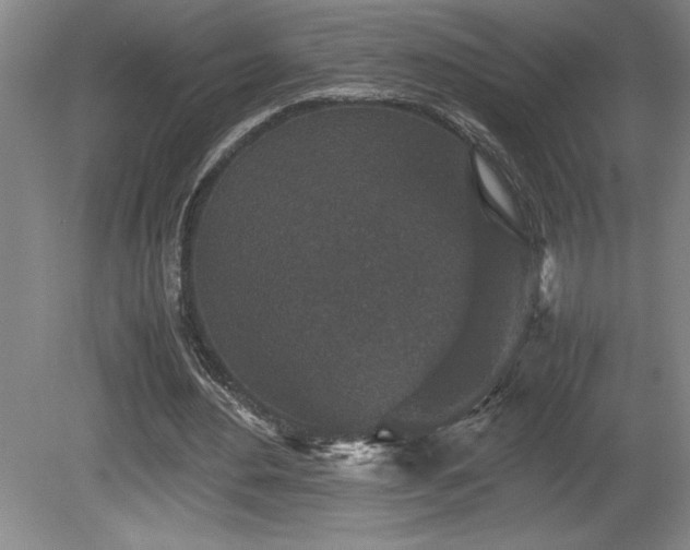 X0000081410484200701191534