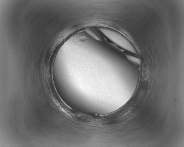 X0000081410485200701191534