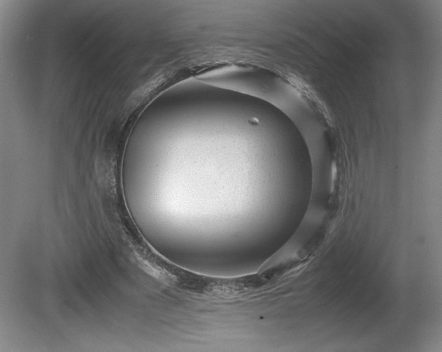 X0000081410489200701191534