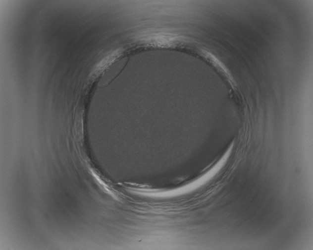 X0000081410493200701191534