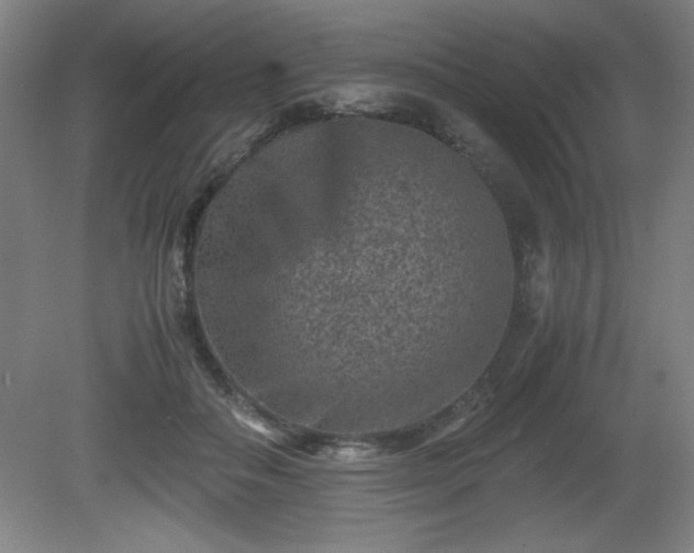 X0000081410506200701191533