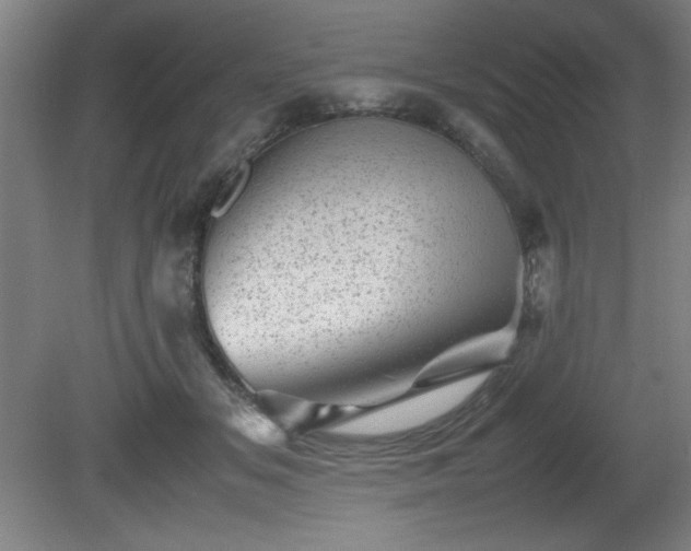 X0000081410509200701191533