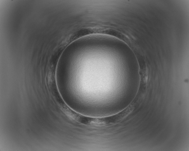 X0000081410515200701191533