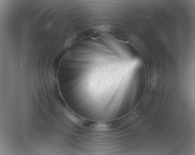 X0000081410518200701191533