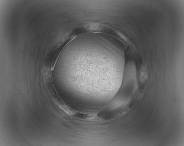 X0000081410521200701191533