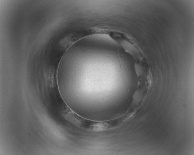 X0000081410525200701191533