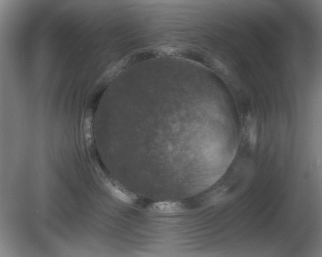 X0000081410526200701191533
