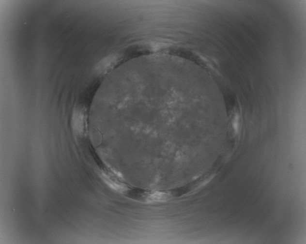 X0000081410527200701191533