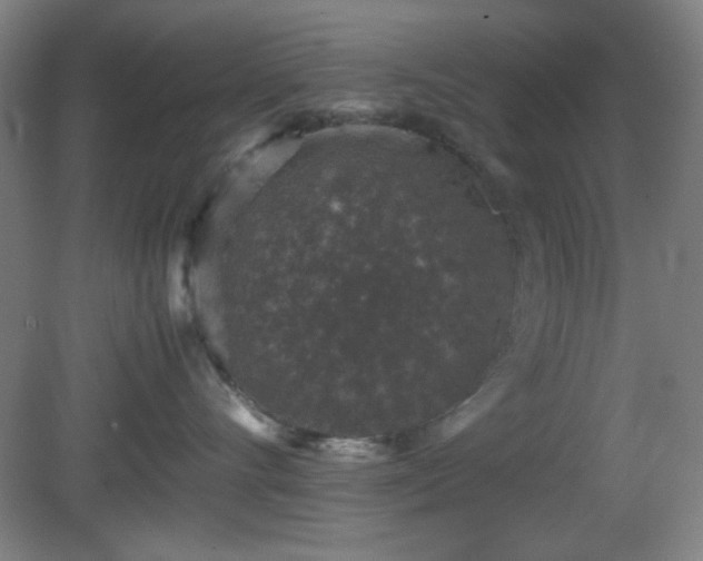 X0000081410528200701191533