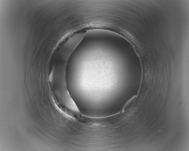 X0000081410530200701191532