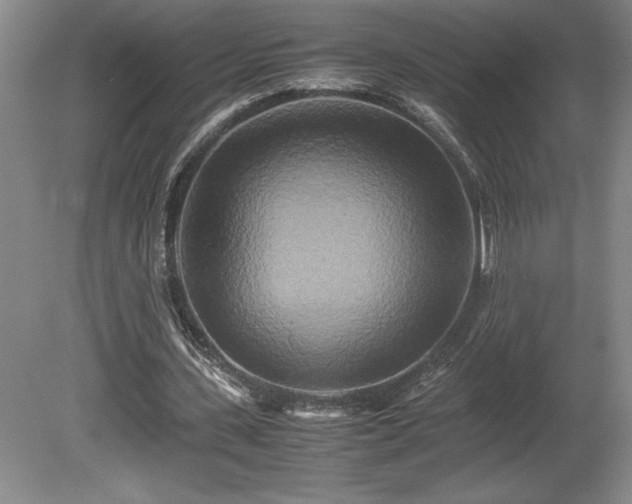 X0000081410531200701191532