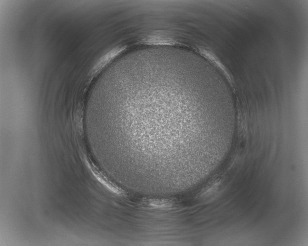 X0000081410533200701191532