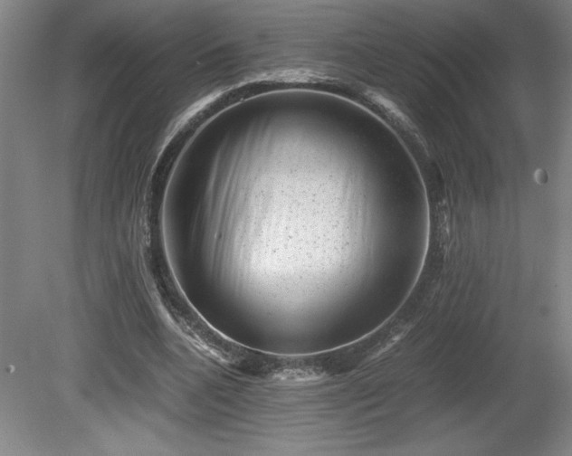 X0000081410536200701191532