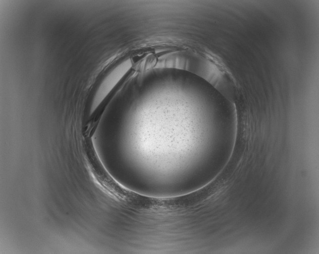 X0000081410538200701191532