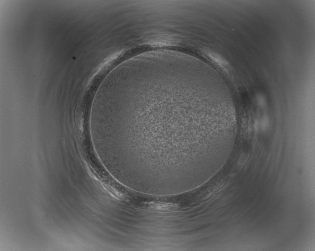 X0000081410539200701191532