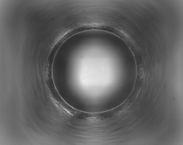 X0000081410544200701191532