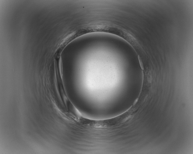 X0000081410546200701191532