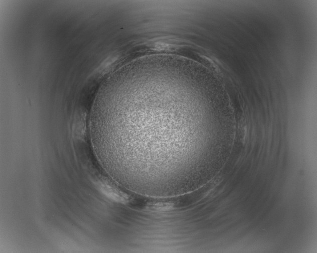 X0000081410554200701191533