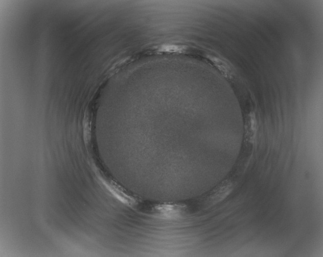 X0000081410558200701191533