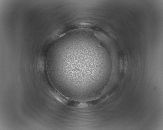X0000081410562200701191533