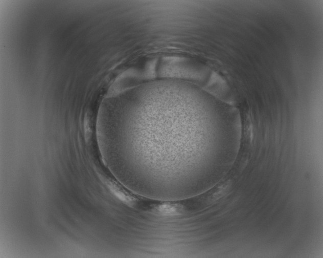 X0000081410566200701191533