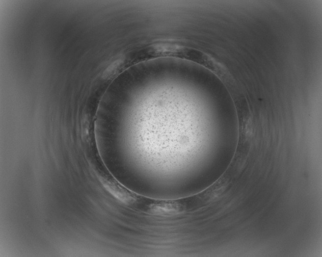 X0000081410567200701191533