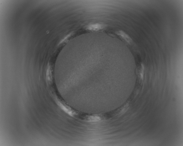 X0000081410572200701191533