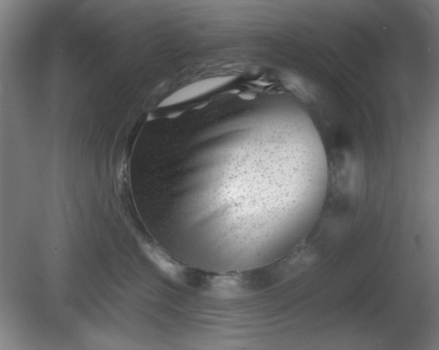 X0000081410574200701191533