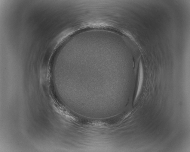 X0000081410583200701191532