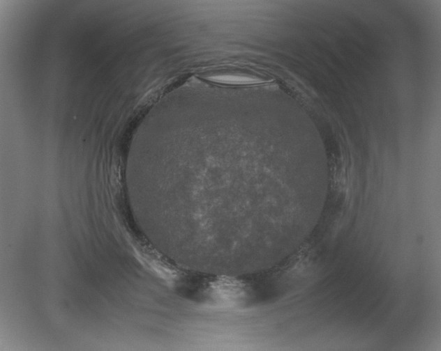 X0000081410603200701191532