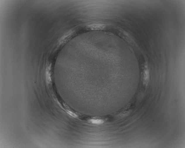 X0000081410604200701191532