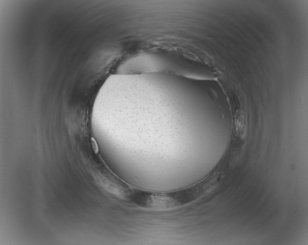 X0000081410605200701191532