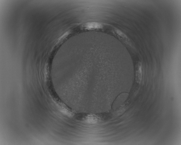 X0000081410608200701191532