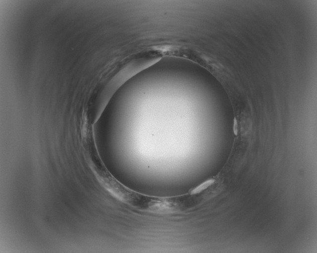 X0000081410611200701191532