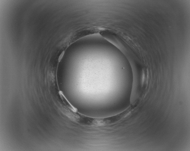 X0000081410613200701191532