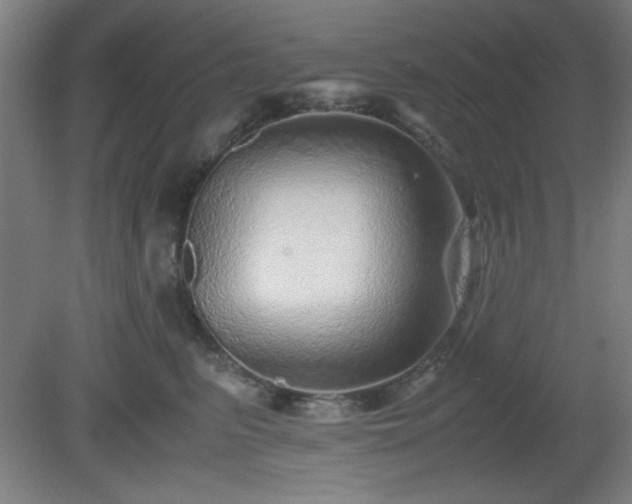 X0000081410615200701191532