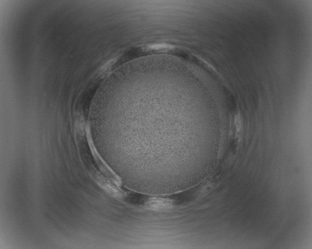 X0000081410617200701191531