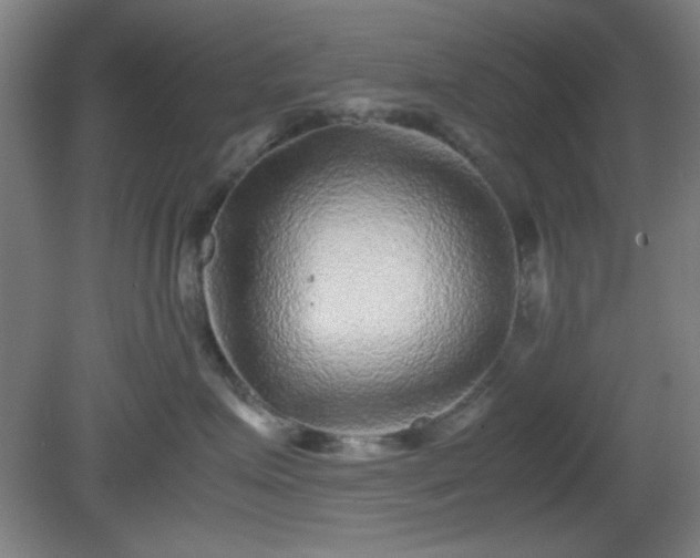 X0000081410623200701191531