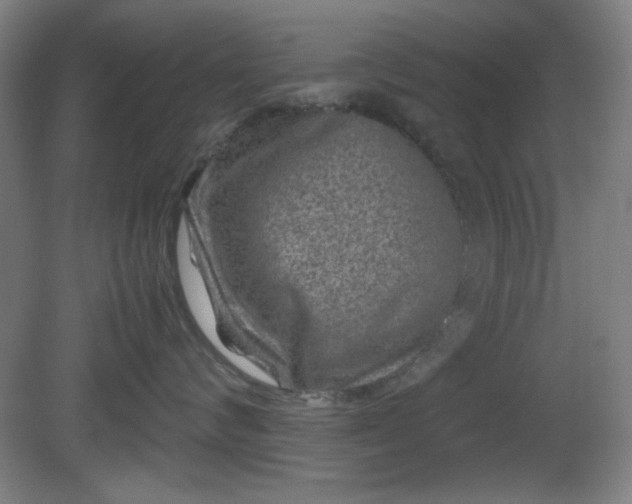 X0000081410624200701191531