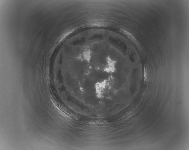 X0000081410627200701191531