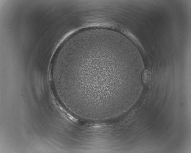 X0000081410628200701191531