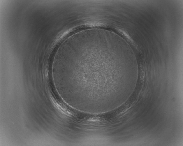 X0000081410631200701191531