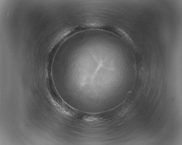 X0000081410635200701191531