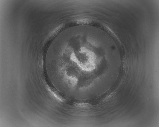 X0000081410637200701191531