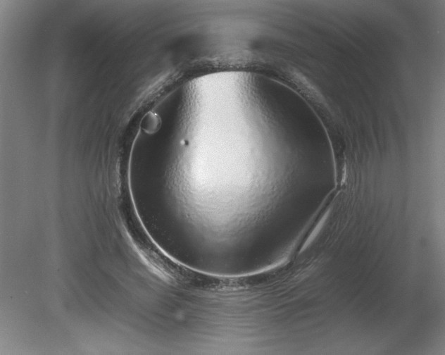 X0000081410638200701191531