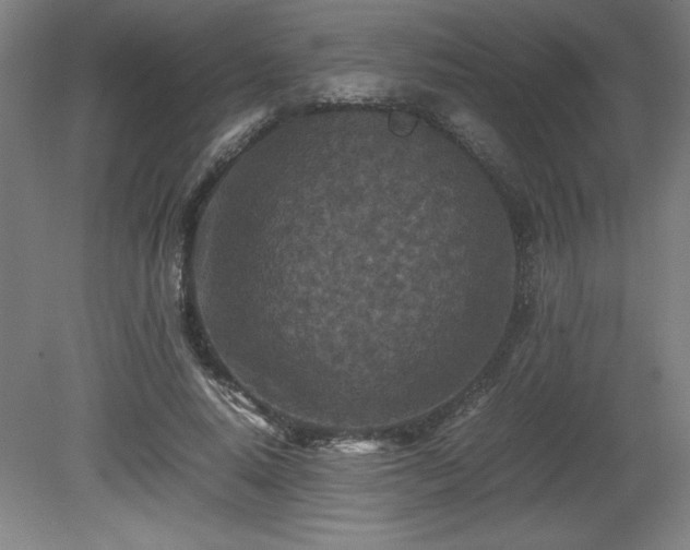 X0000081410640200701191531